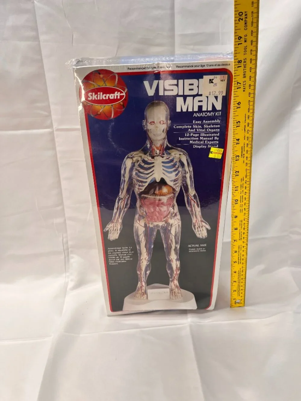 Vintage 1994 Skilcraft VISIBLE MAN Educational Anatomy Model Kit 14